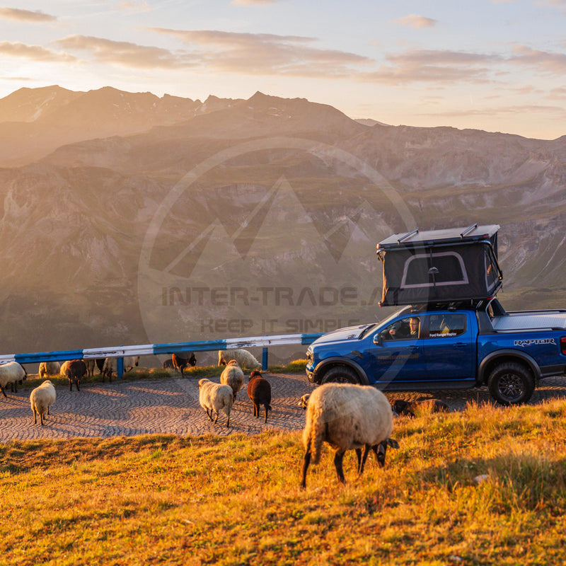 Laden Sie das Bild in Galerie -Viewer, Wildland Rock Cruiser Large