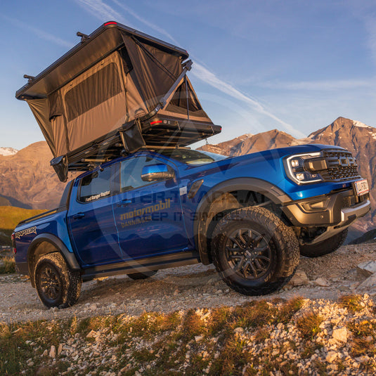 Wildland Rock Cruiser Large